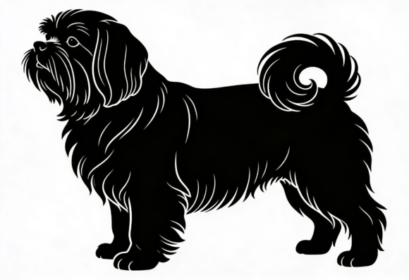 Black Havanese Dog Silhouette SVG