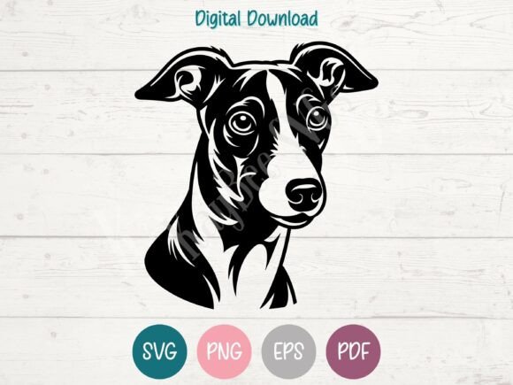 Italian Greyhound Dog SVG PNG EPS PDF