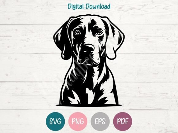 Weimaraner Dog SVG PNG EPS PDF Design