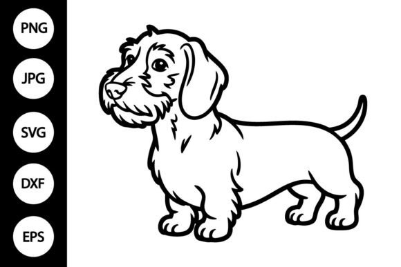 Wirehaired Dachshund Dog Outline SVG