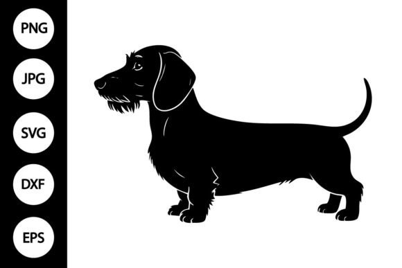 Wirehaired Dachshund Dog SVG Review
